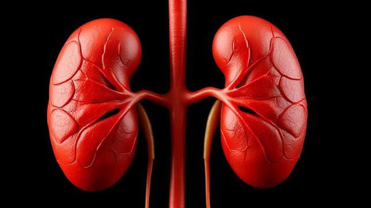 Awas! Urine Berbusa Seperti Telur Kocok Bisa Jadi Gejala Gagal Ginjal