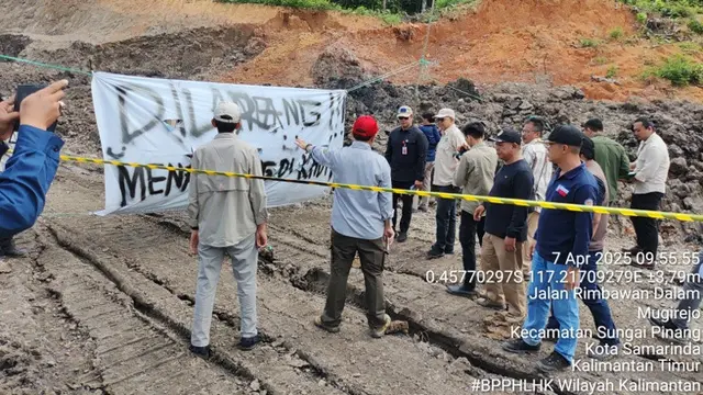 Hutan Pendidikan Unmul Kaltim Mendadak Gundul karena Penambang Batubara Ilegal, Kemenhut Kejar Pelakunya