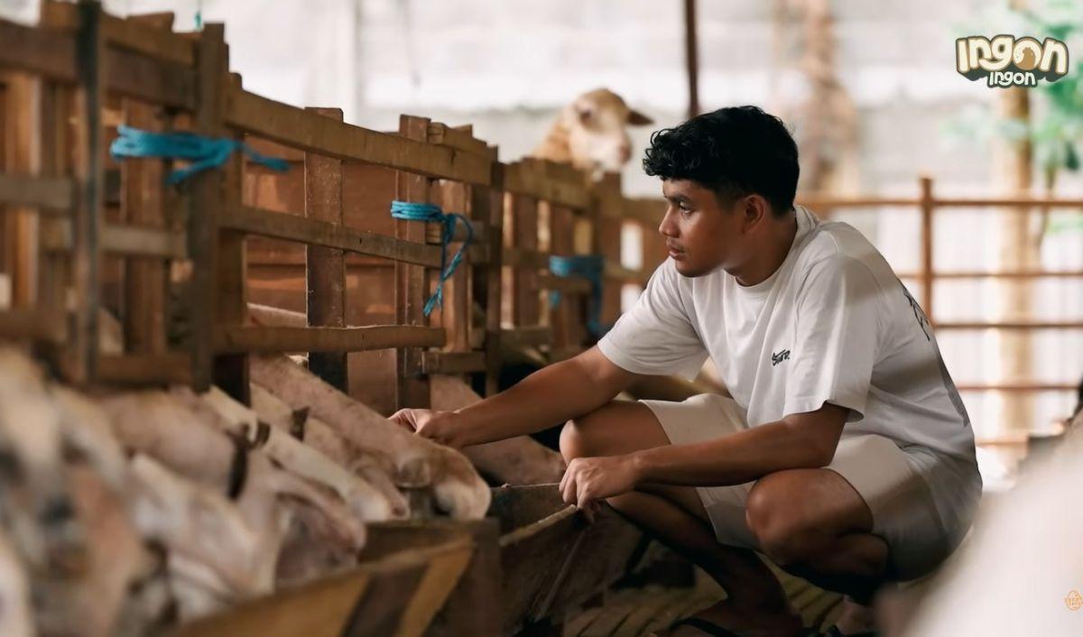 Sudah Memiliki Ketertarikan di Bidang Peternakan