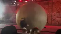 Aksi Heroik Staf Disney World Menghentikan Batu Palsu Seberat 180 kg agar Tidak Menghantam Penonton