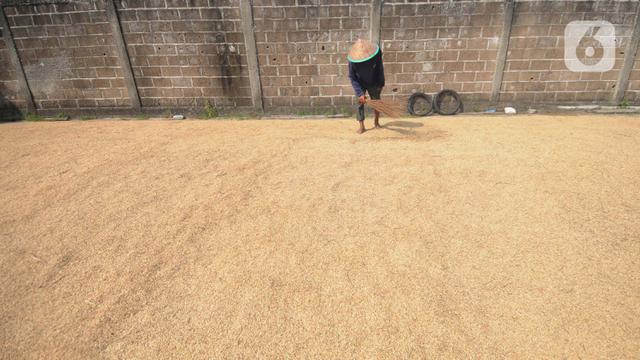 Bapanas Naikkan Harga Pembelian Gabah Kering Panen