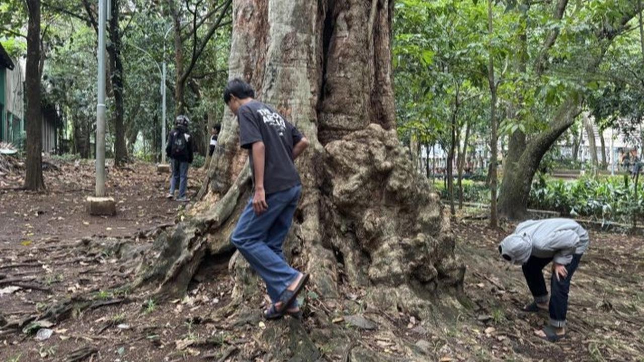 Pj Gubernur Jakarta Minta Komdigi Evaluasi Aplikasi Koin Jagat Imbas Banyak Fasilitas Umum Rusak