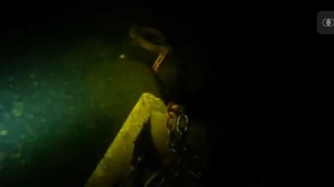 Seramnya Video Ini Bikin Kamu Kapok Menyelam di Laut!