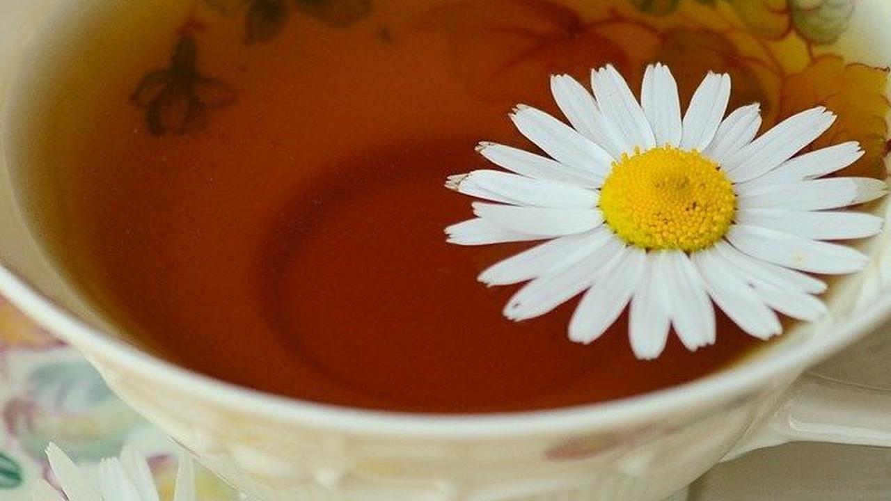 <b>1. Teh Chamomile</b>