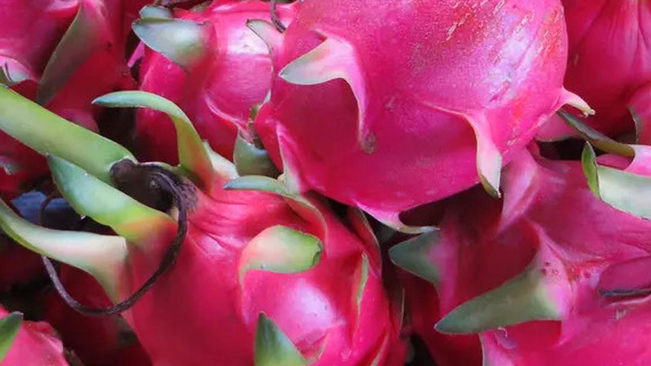 10 Manfaat Buah Naga untuk Kesehatan, Penuh Nutrisi dan Ideal untuk Program Diet