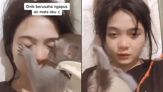 Viral Cewek Pelihara Monyet, Diperlakukan dengan Baik Bak Anak Sendiri