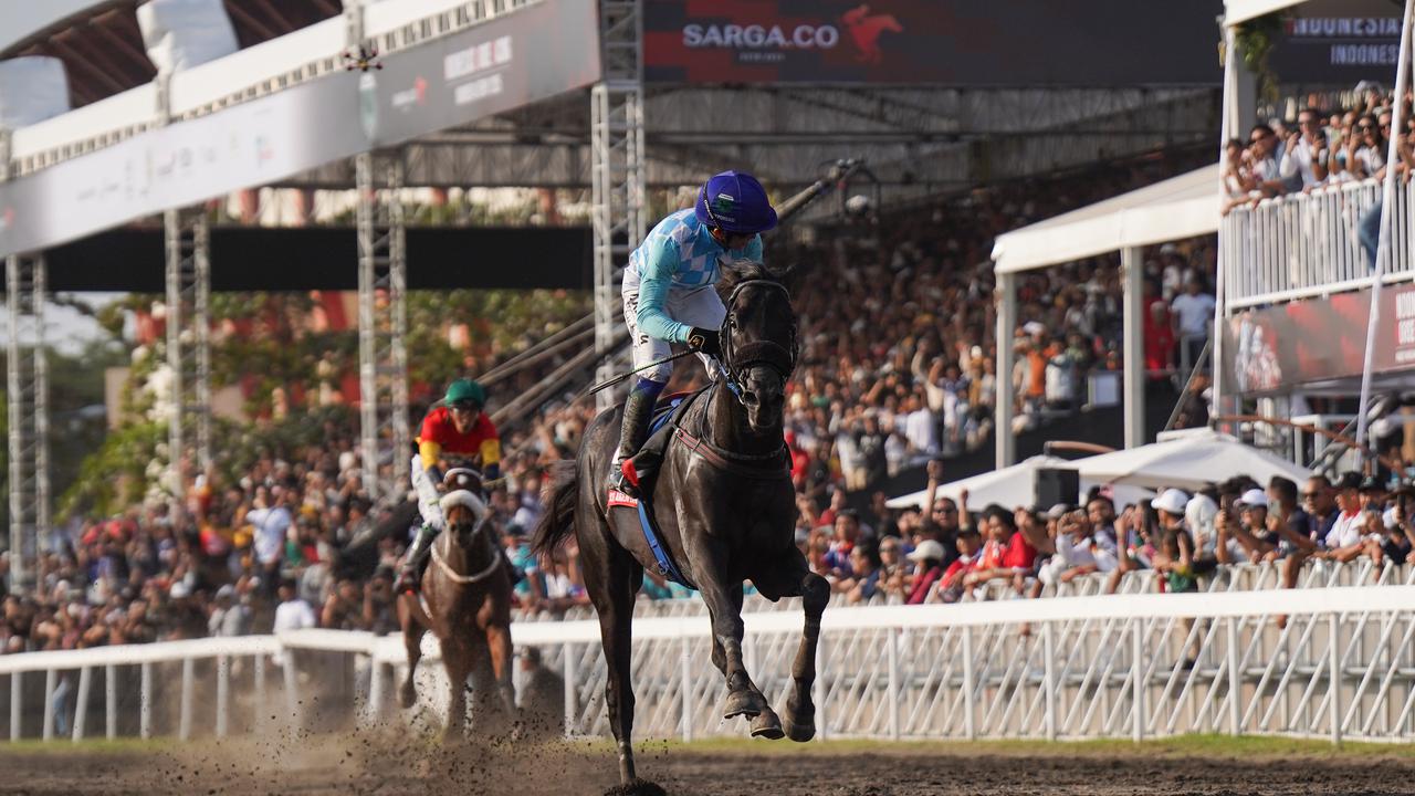 Catatkan Sejarah Baru, Kuda King Argentin Raih Gelar Triple Crown Indonesia