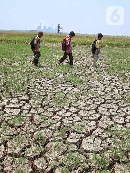Sementara, BMKG mengatakan bahwa puncak El Nino akan terjadi sekitar Oktober-November 2023. (Liputan6.com/Angga Yuniar)