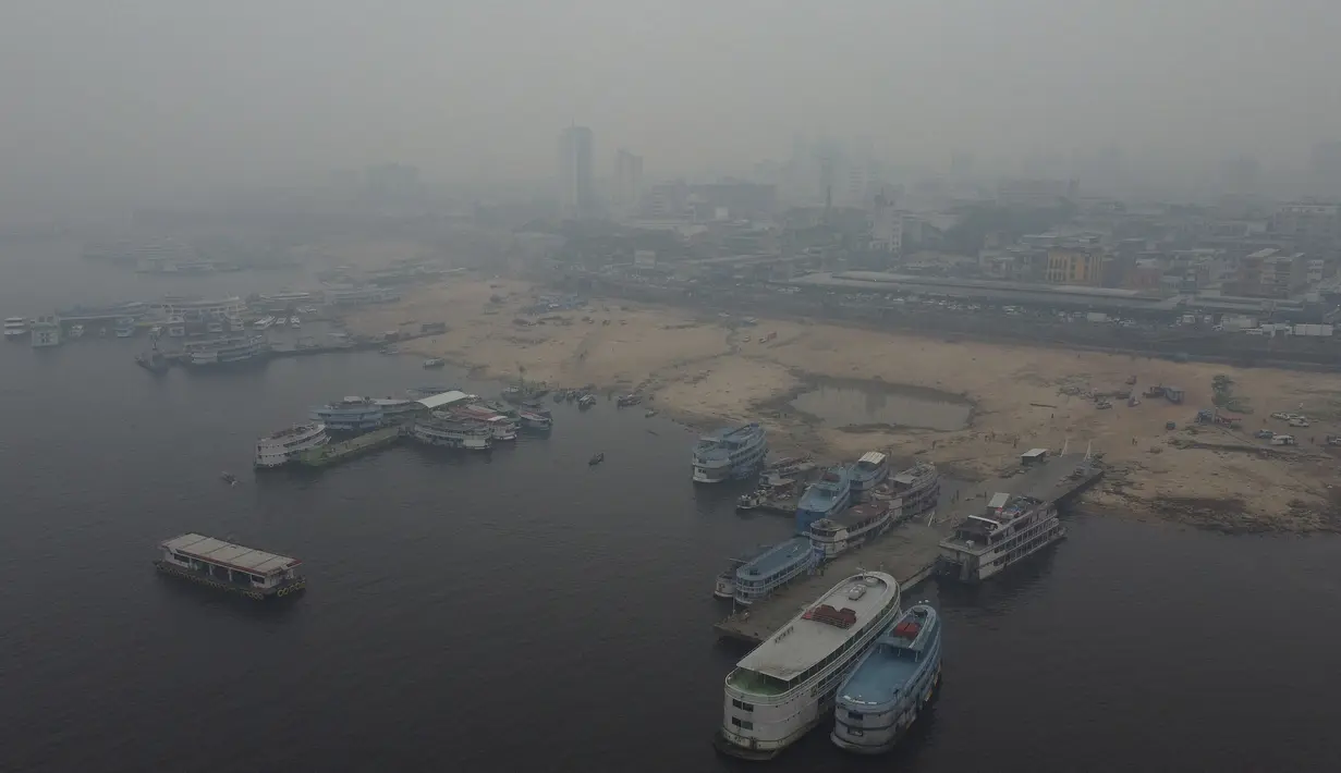Dalam 11 hari pertama di bulan Oktober, negara bagian Amazonas mencatat lebih dari 2.700 kebakaran. (AP Photo/Edmar Barros)