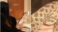 Hidup Mesra dengan 16 Ular Peliharaan, Wanita Ini Bikin Merinding Tetangganya