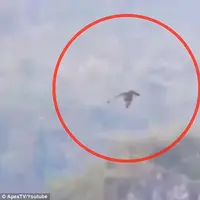 Sosok misterius yang diduga naga tertangkap di Tiongkok. (ApexTV/Youtube)