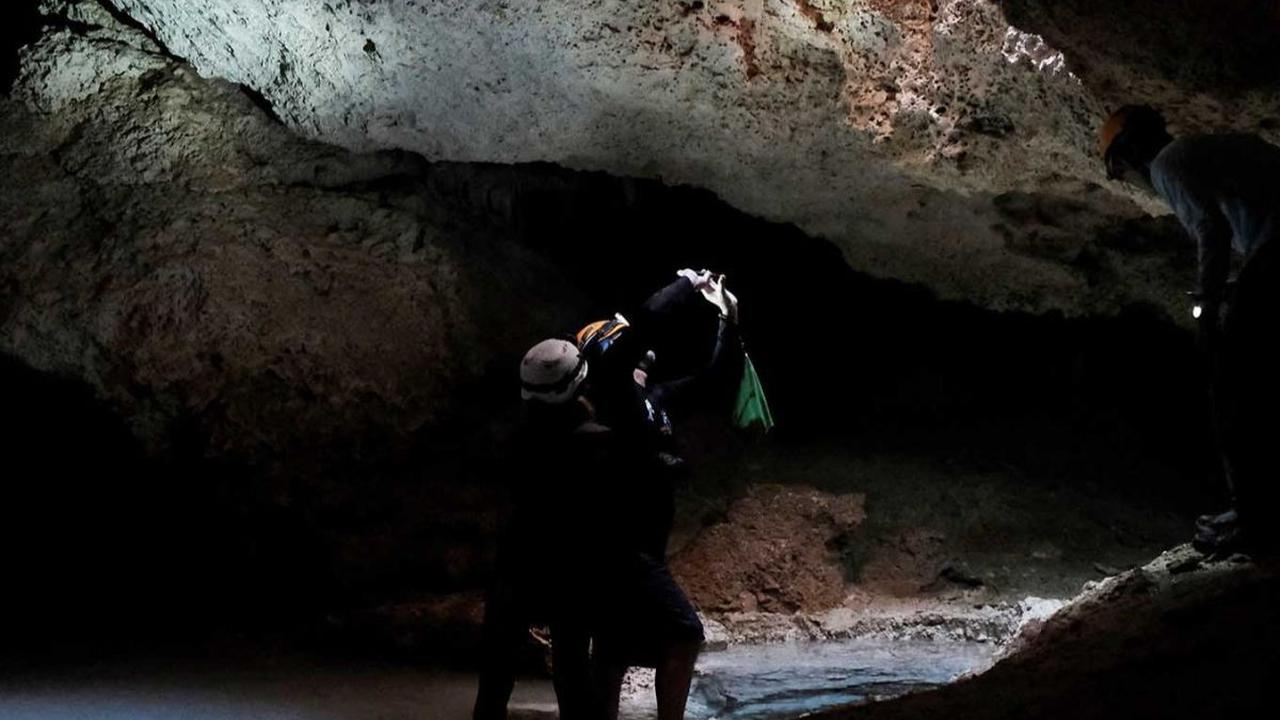 Megaproyek Kereta Maya di Meksiko kembali menjadi sorotan karena merusak gua kuno bawah tanah yang menakjubkan. Sistem gua bernama&nbsp;Aktun T'uyul, yang berada di Playa del Carmen, negara bagian Quintana Roo, Meksiko, menjadi korban pembangunan konstruk