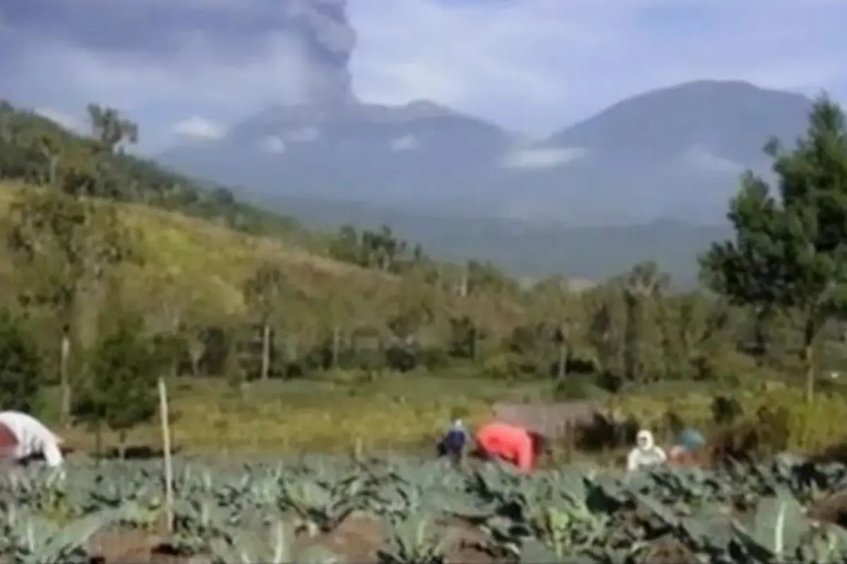 Tebalnya Debu Raung Lahan Sayur Mayur Milik Petani Rusak Parah