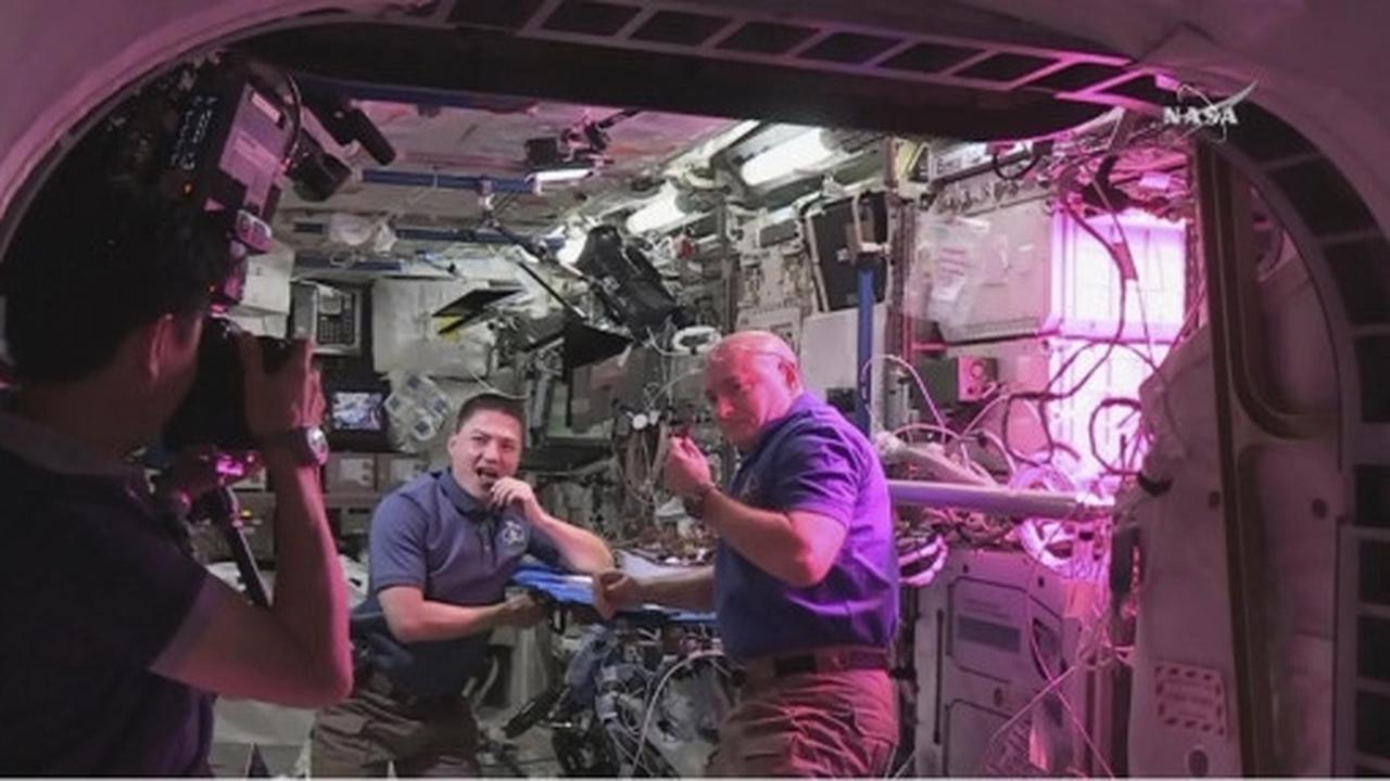 Mengintip astronot makan sayuran hasil tanam di luar angkasa