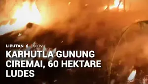 Kebakaran Gunung Ciremai Meluas, 60 Hektare Lahan Hangus