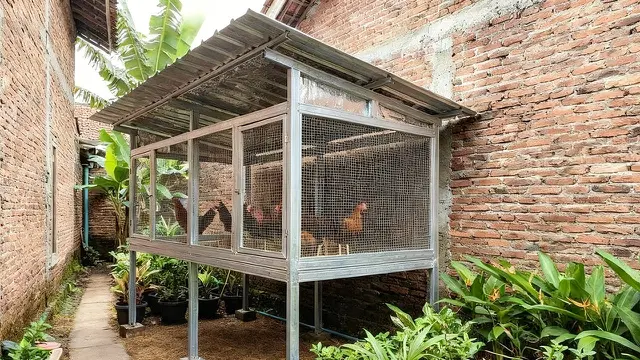 Kandang Ayam Panggung Tahan Banjir untuk Halaman Sempit