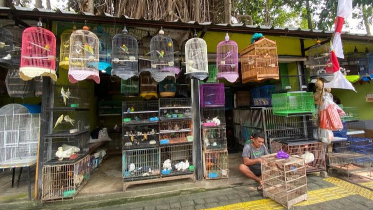 Curhat Pilu Pedagang Hewan di Pasar Barito, Punya Utang Modal Dagang Kini Terancam Direlokasi