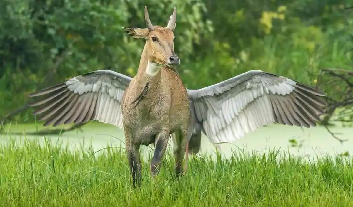 Pegasus, the Flying Horse by&nbsp; Jagdeep Rajput, 2010