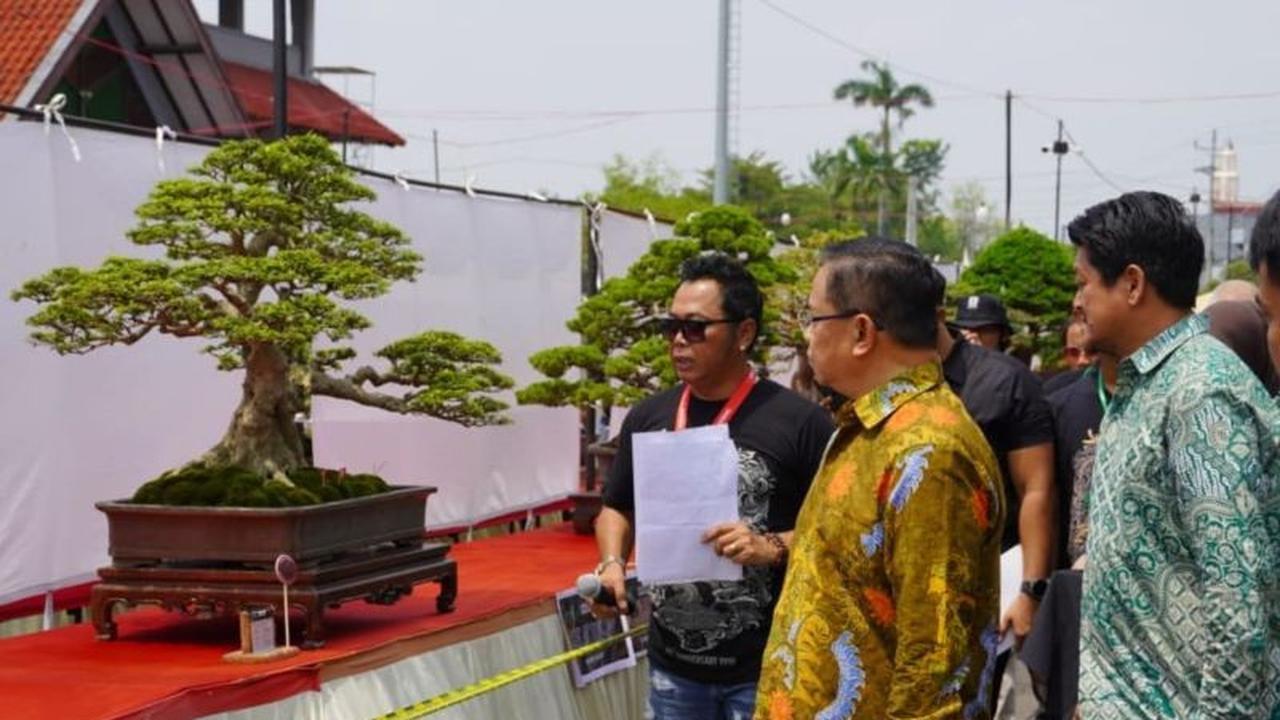 Fakta Unik Bonsai: Pameran Bonsai Pati Diharapkan Dorong Ekonomi Kreatif Lokal