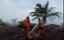 Sudah Hari Ketiga, BPBD Sumsel Kerahkan Tim Darat dan Udara Padamkan Karhutla OKI: Apa Penyebabnya?