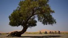 Para pebalap mengendarai sepeda pada etape 1 edisi ke 14 balap sepeda gunung Titan Gurun 2019 di sekitar Kota Merzouga, Maroko, Minggu (28/4/2019). Trek Titan Gurun 2019 sepanjang 640 km menghubungkan antara Merzouga dan Maadid berlangsung pada 28 April-3 Mei 2019. (Franck Fife / AFP)