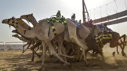 Unta-unta berlari pada awal perlombaan Festival Unta Putra Mahkota di Kota Taif, Arab Saudi, Rabu (11/8/2021). Selain mempromosikan warisan balap unta Arab Saudi, festival ini juga berupaya untuk mendukung pariwisata dan pembangunan ekonomi. (Amer HILABI/AFP)