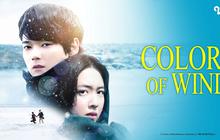 Saksikan Akting Yuki Furukawa dalam Film Jepang Colors of Wind yang Tayang di Vidio