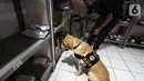 Tim Operasi K9 BNN bersama anjing pelacak menyusuri sejumlah titik di lingkungan Apartemen GMR Jakarta, Sabtu (7/8/2021). Operasi K9 ini merupakan bentuk sinergi antara Inner City Management (ICM) dengan BNN untuk menciptakan lingkungan yang bersih dari peredaran narkoba. (Liputan6.com/Fery Pradolo)