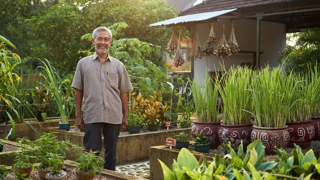 Ide Kebun Sayur untuk Bapak-Bapak Pensiunan (AI)