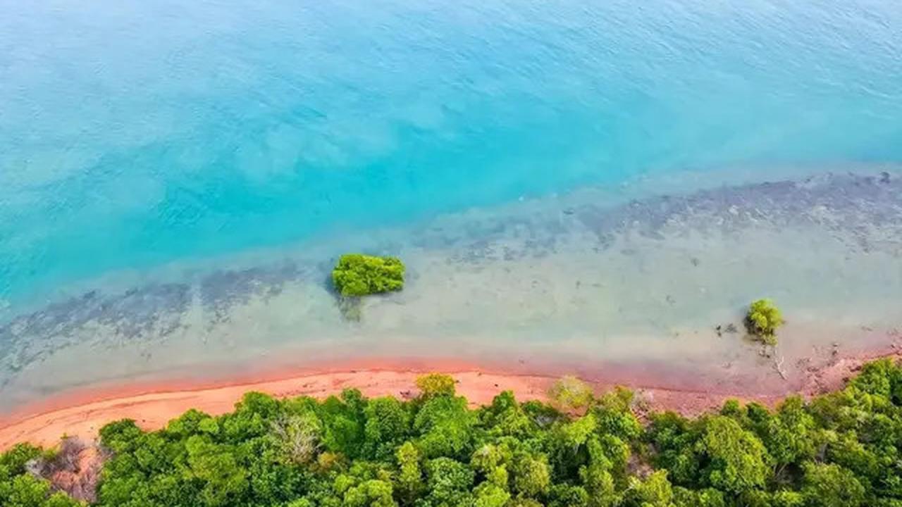 10 Potret Penampakan Viral Pulau Dijual Rp 12 Miliar, Ini Lokasinya