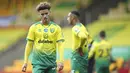 Norwich City - The Canaries menjadi klub pertama yang memastikan diri terdegradasi dari Premier League musim 2019-2020. Norwich berada di urutan buncit dengan hanya mengumpulkan 21 poin dari 38 pertandingan. (Alex Pantling/Pool via AP)