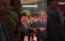 VIDEO: Langkah Tegas Prabowo Blokir Anggaran Jumbo IKN, Begini Reaksi Jokowi