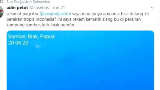 Harapan Susi Pudjiastuti Tentang Munculnya Paus Pembunuh di Biak