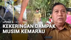 Kekeringan Dampak Musim Kemarau
