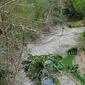 Sungai mengering pada musim kemarau panjang dan kondisi kekeringan ekstrem. ( Foto: Liputan6.com/Muhamad Ridlo).