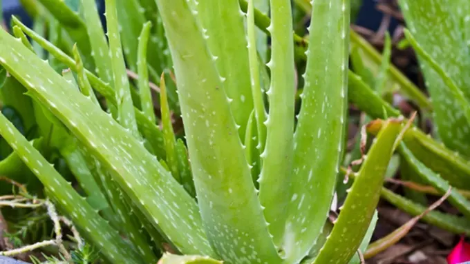 Copyright by Thinkstock.com