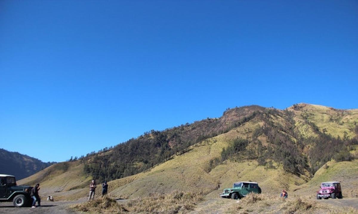 Memanjakan mata menikmati keindahan bukit 'Teletubbies' di Bromo