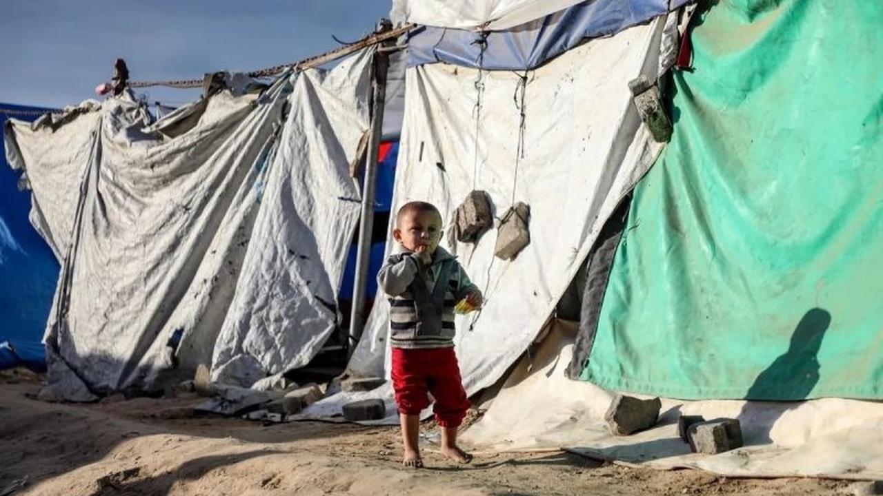 CSIS: Indonesia Berpotensi Dorong Solusi Dua Negara Palestina Melalui BoP