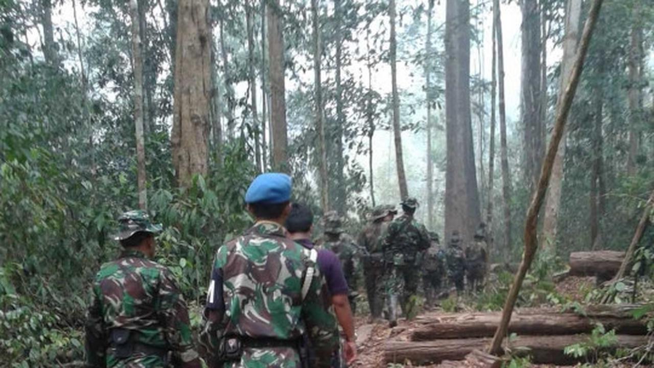 Aksi Marinir gagalkan illegal logging di Taman Nasional Sembilang