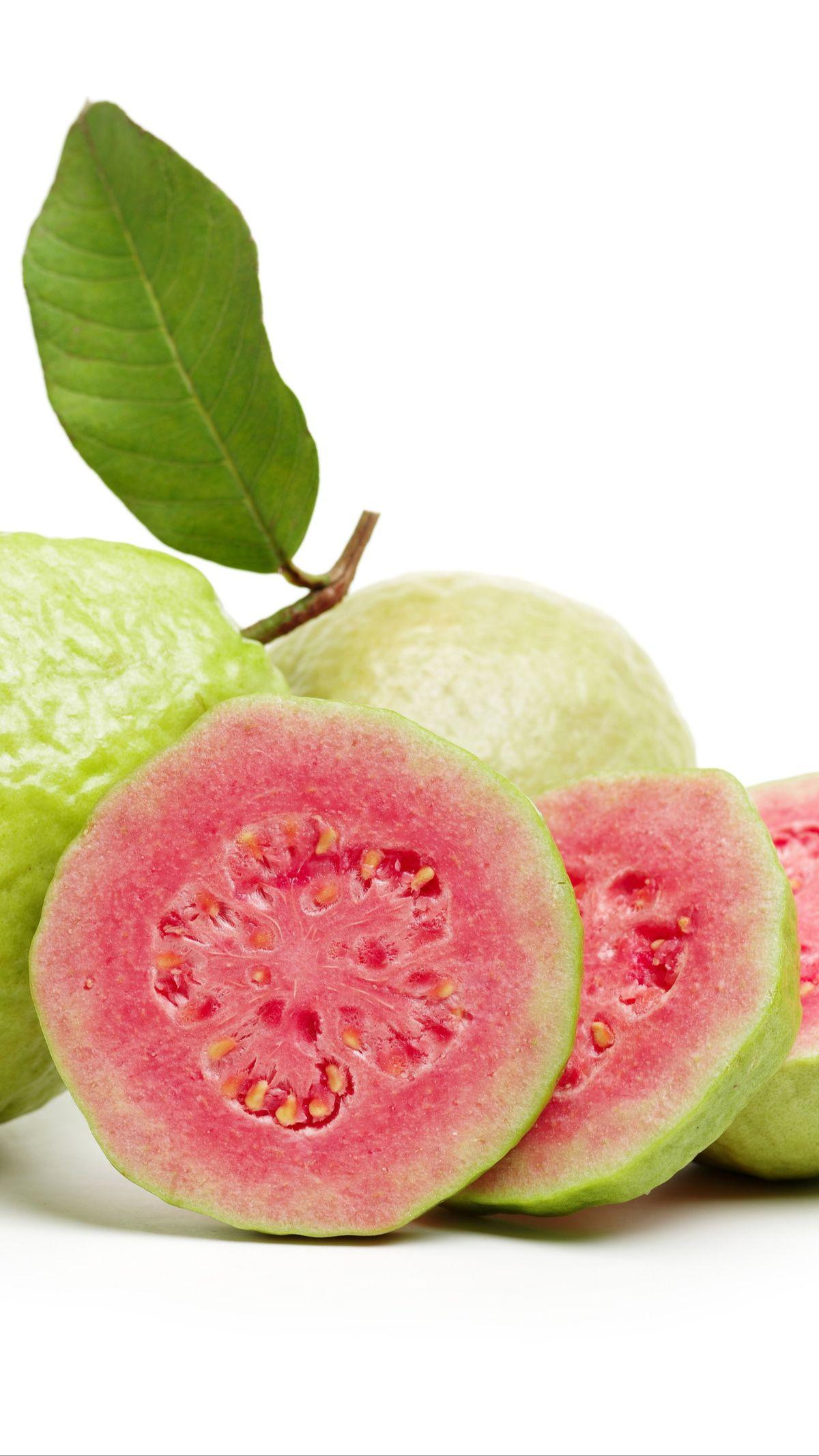 1. Jambu Biji