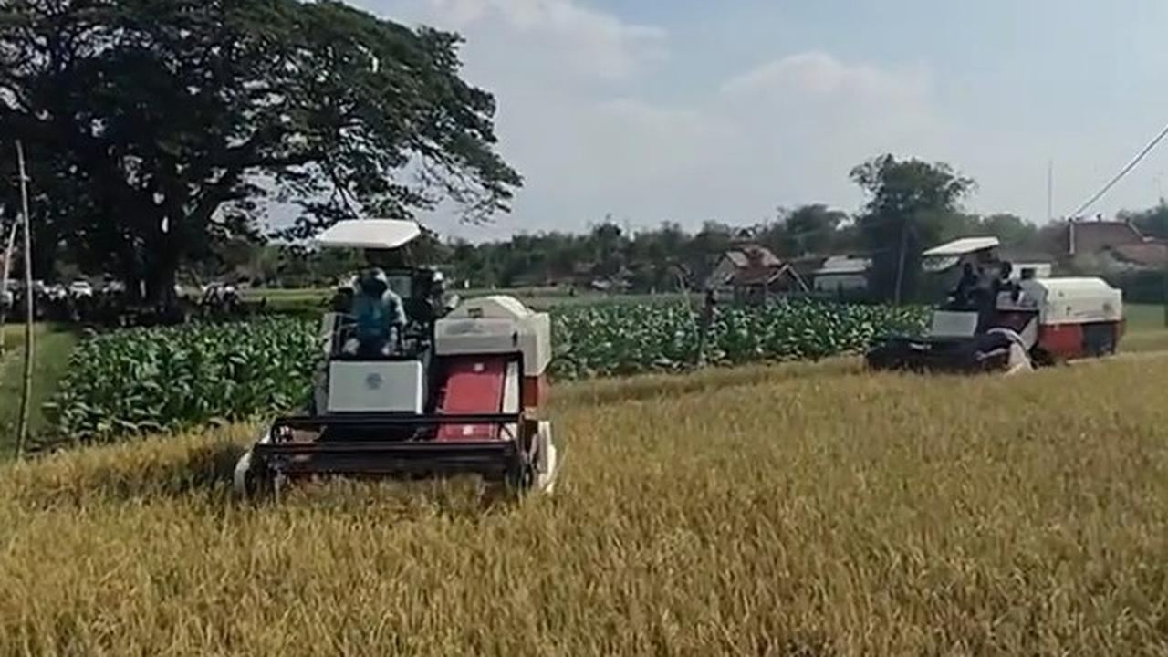 Kunjungan Wakil Menteri Pertanian