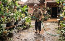 7 Cara Menyiram Tanaman Hias di Teras agar Tidak Becek