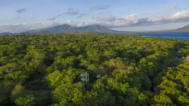 Plataran Menjangan Raih ASEAN Green Hotel Award 2024, Perkuat Peran dalam Pariwisata Berkelanjutan