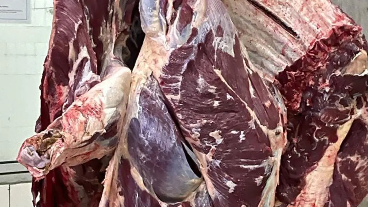 Jelang Lebaran Kementan Awasi Keamanan dan Stok Daging