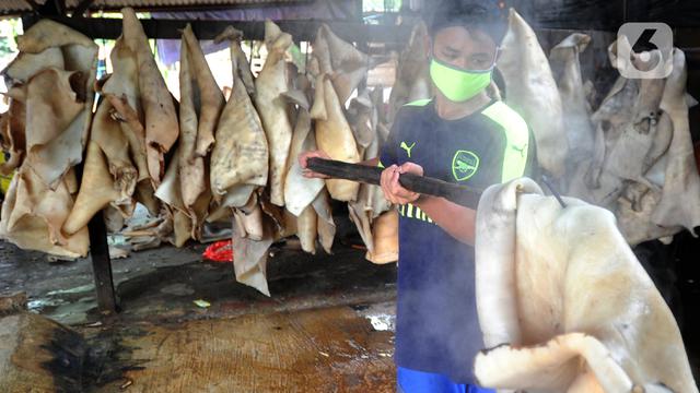 Pembuat Kerupuk Kulit