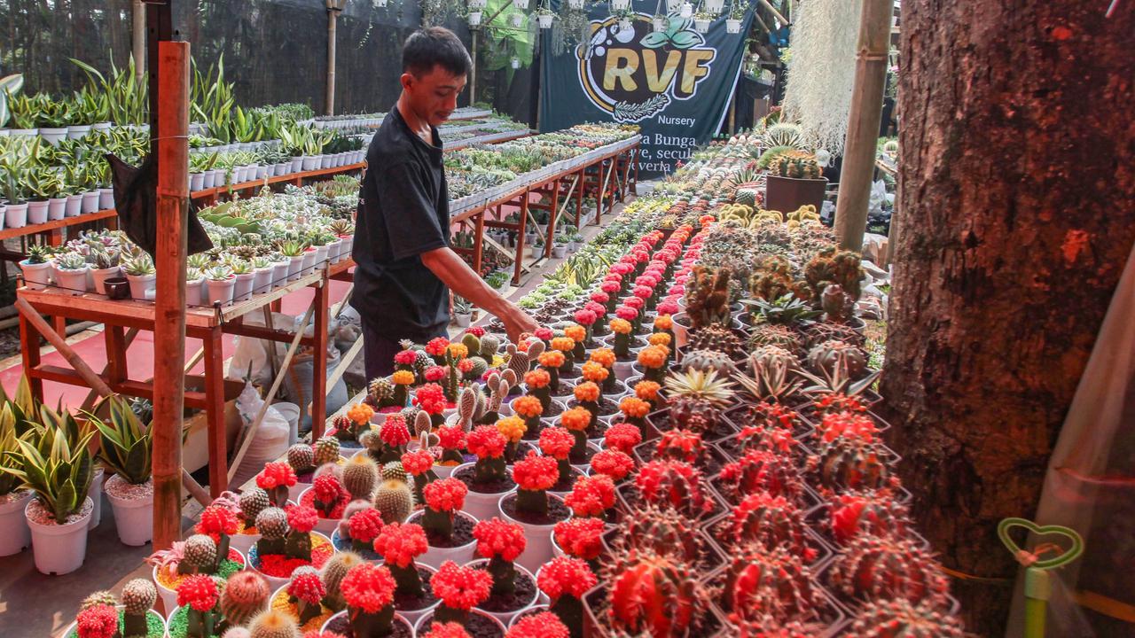FOTO: Warna-Warni Flona 2025 di Lapangan Banteng Jakarta