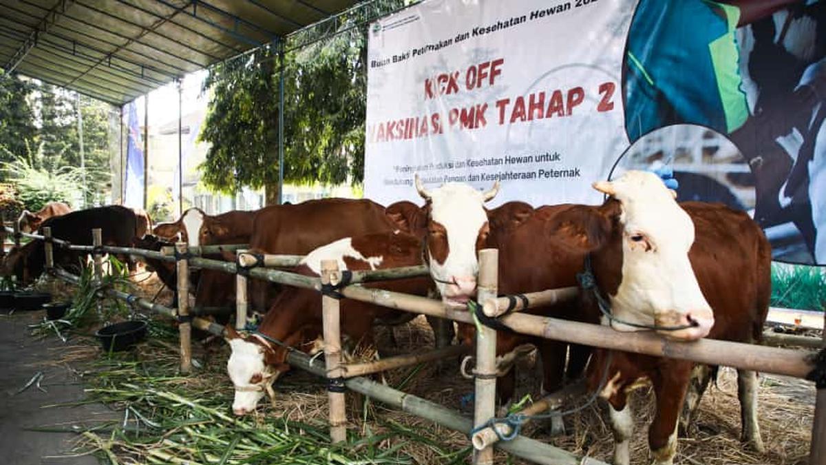 Hasil Ternak Jawa Tengah Berkontribusi Besar Secara Nasional