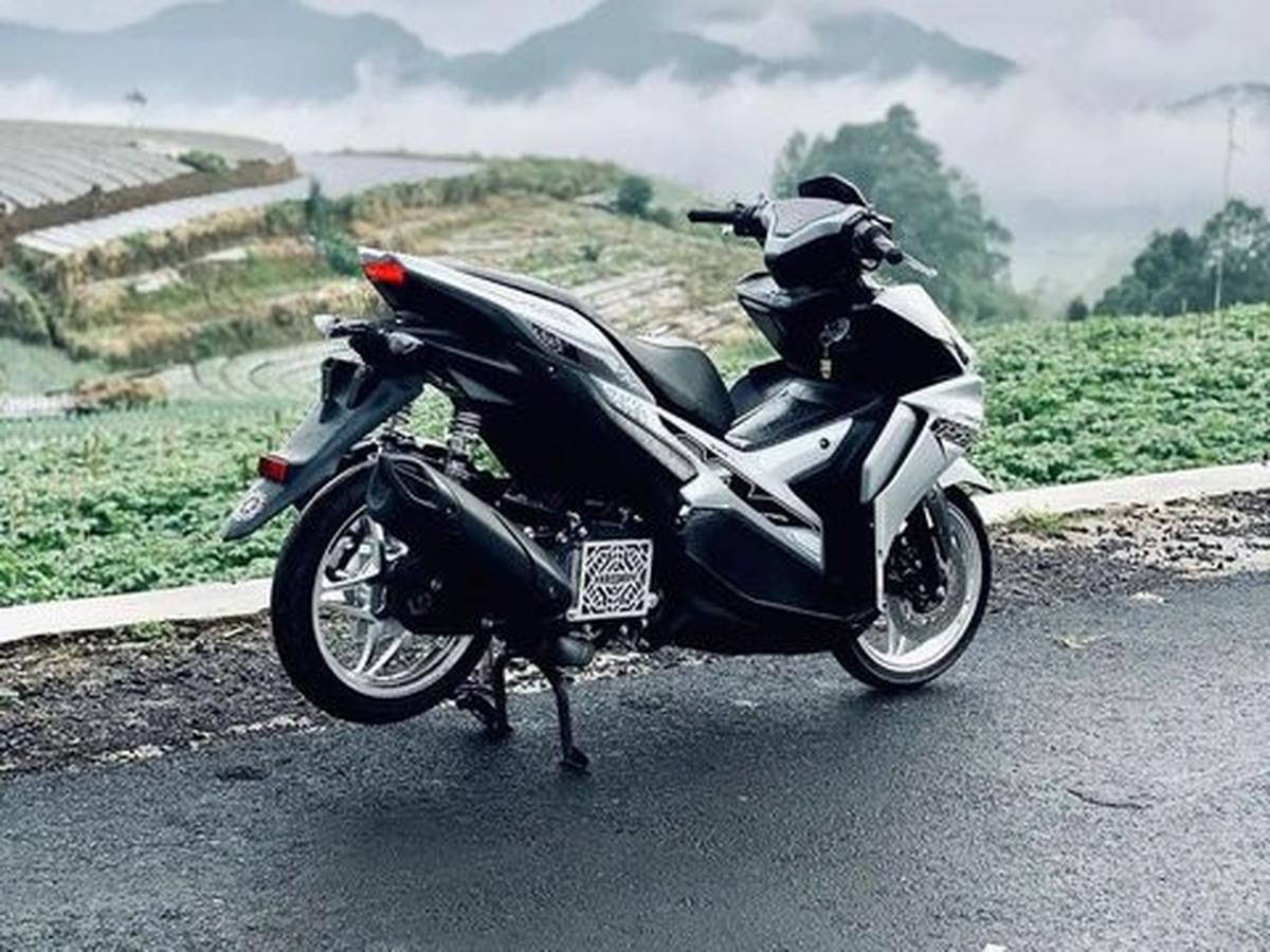 Pelek Model Bintang yang Menawan