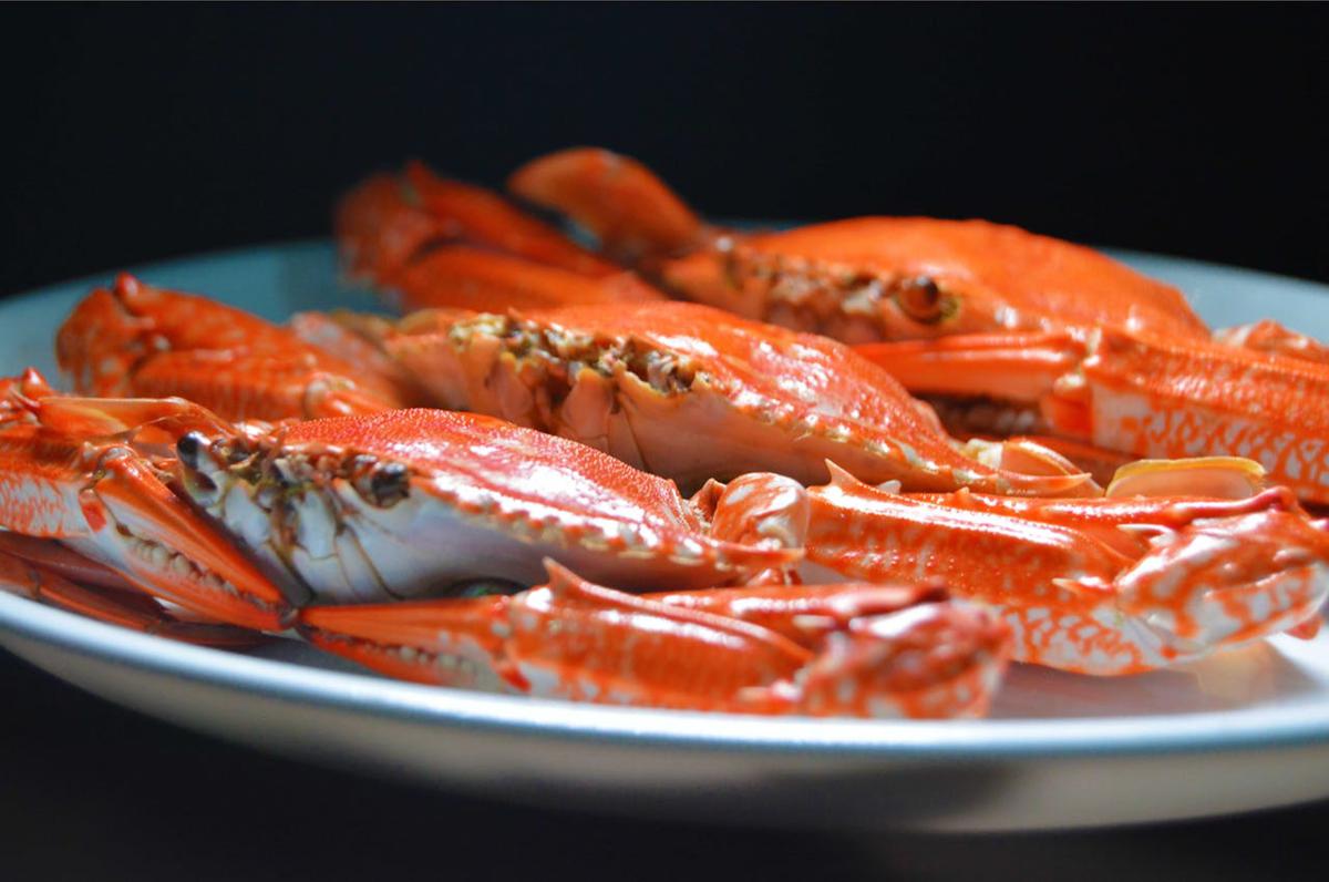 Ilustrasi Kepiting