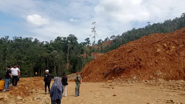 Salah satu kawasan hutan lindung di Kecamatan Langgikima Konawe Utara, diterabas penambang ilegal.(Liputan6.com/Ahmad Akbar Fua)